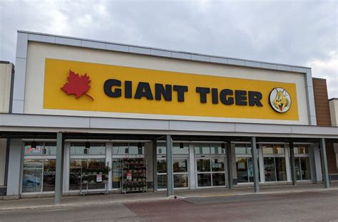 GIANT TIGER - Updated December 2024 - 27 Photos - 370 Main Street N ...