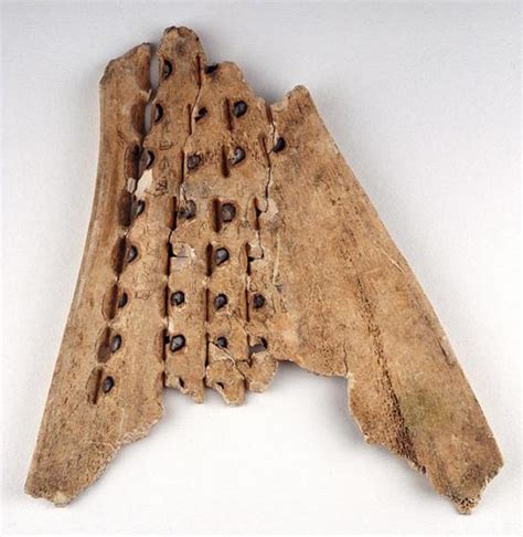 Reading Oracle Bones and Writing the Future in the Shang Dynasty ...