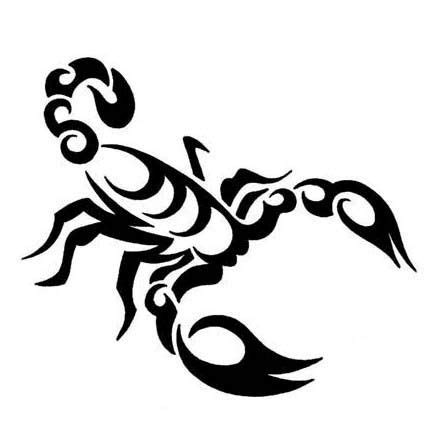 Scorpio Tattoos, Tattoo Designs Gallery - Unique Pictures and Ideas ...