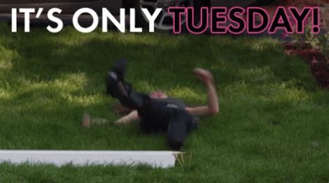 Its Only Tuesday GIF - ItsOnlyTuesday - Discover & Share GIFs