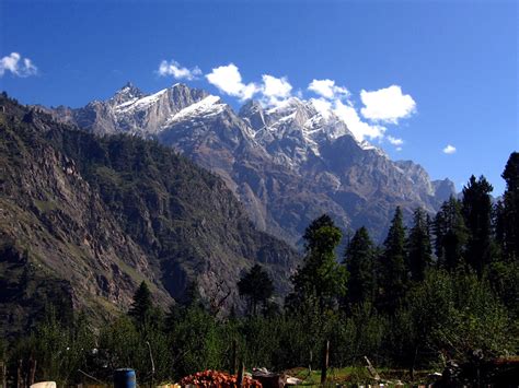 Sangla valley - India Travel Forum | IndiaMike.com