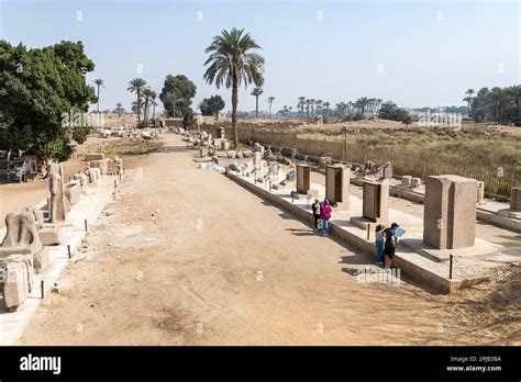 The open air museum of ancient Egyptian ruins and artefacts at Memphis ...