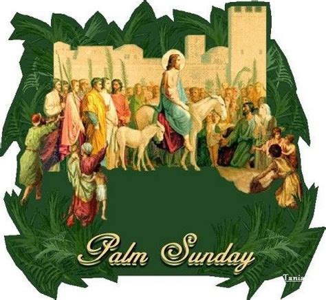 Happy Palm Sunday everyone. God bless. | Happy palm sunday, Palm sunday