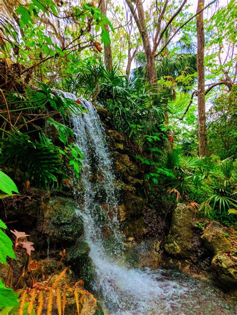 Lush Waterfall Garden at Rainbow Springs State Park 4 - 2TravelDads