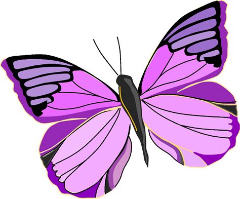 Watercolor purple butterfly clipart isolated on white background - Clip ...