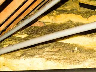 Attic Insulation Removal | Asbestos & Fiberglass | Anaheim, CA