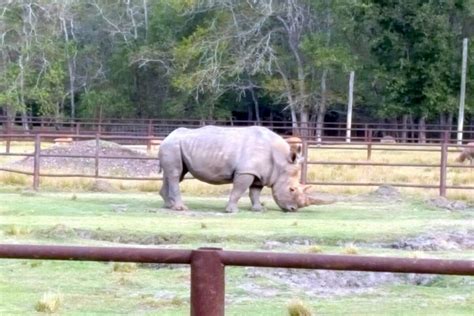 Facebook user questions giraffe care at Bayou Wildlife Zoo