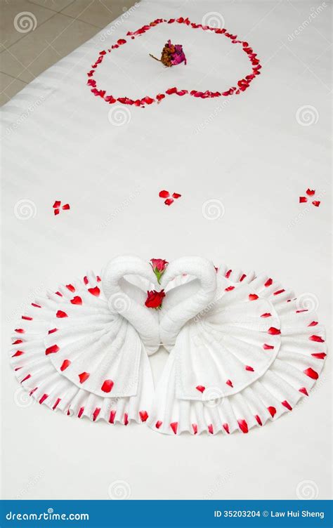 Swan Towel Origami stock photo. Image of wedding, suite - 35203204