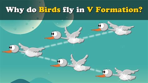 Why do Birds fly in V Shape? + more videos | #aumsum #kids #science # ...