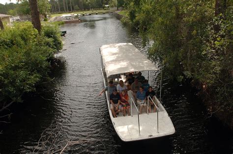 The Okefenokee Swamp, atremble with wonders - The Washington Post