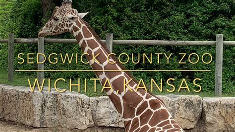 Sedgwick County Zoo Part 1| Wichita | Kansas - YouTube