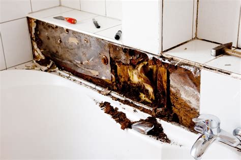 Mold Prevention in Commercial Buildings | A&J Property Restoration | A ...