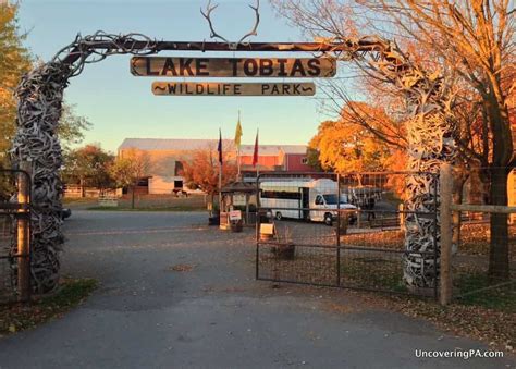 Going on a Safari at Lake Tobias Wildlife Park near Harrisburg ...