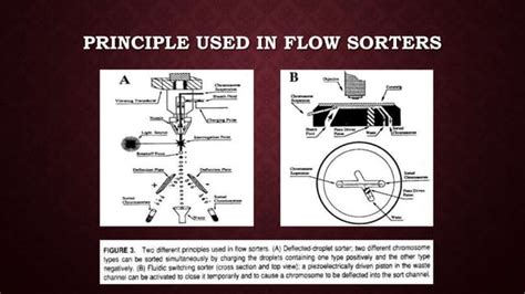 Gene mapping | PPT