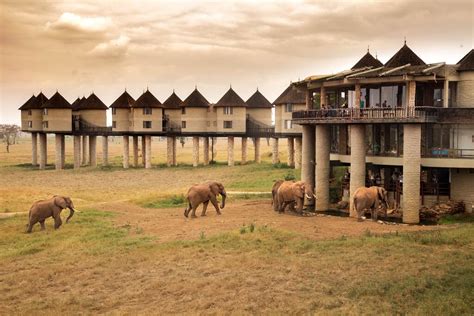 Sarova Salt Lick Safari Lodge | Kenya Safari Destinations Accommodation