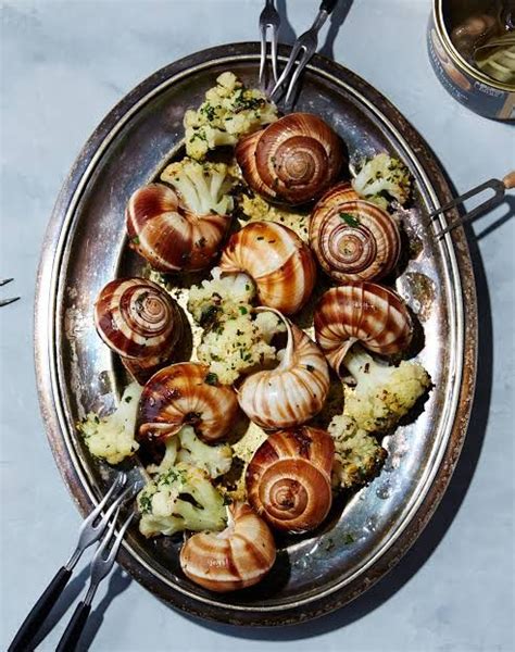 Are Snails The New Super Food? | Wrytin