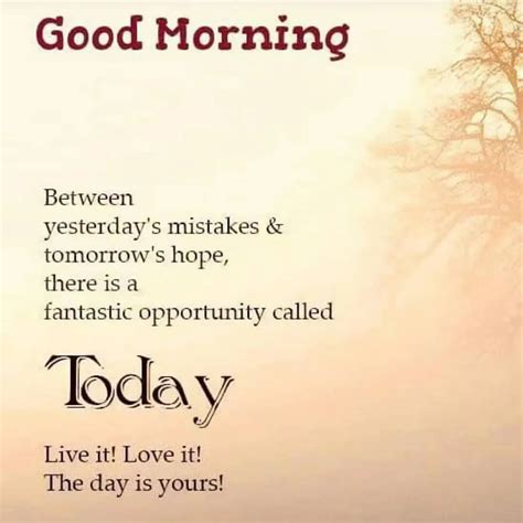 Good Morning Cousin Quotes to Boost Your Day!