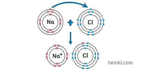 nacl ionisk binding prik og tværs diagram videnskab ks4 Illustration ...