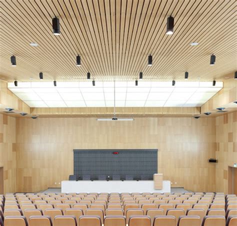 Auditorium acoustic & ceiling - Credence Industries