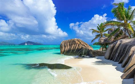 Download Palm Tree Sea Ocean Tropical Island Seychelles Nature Beach HD ...