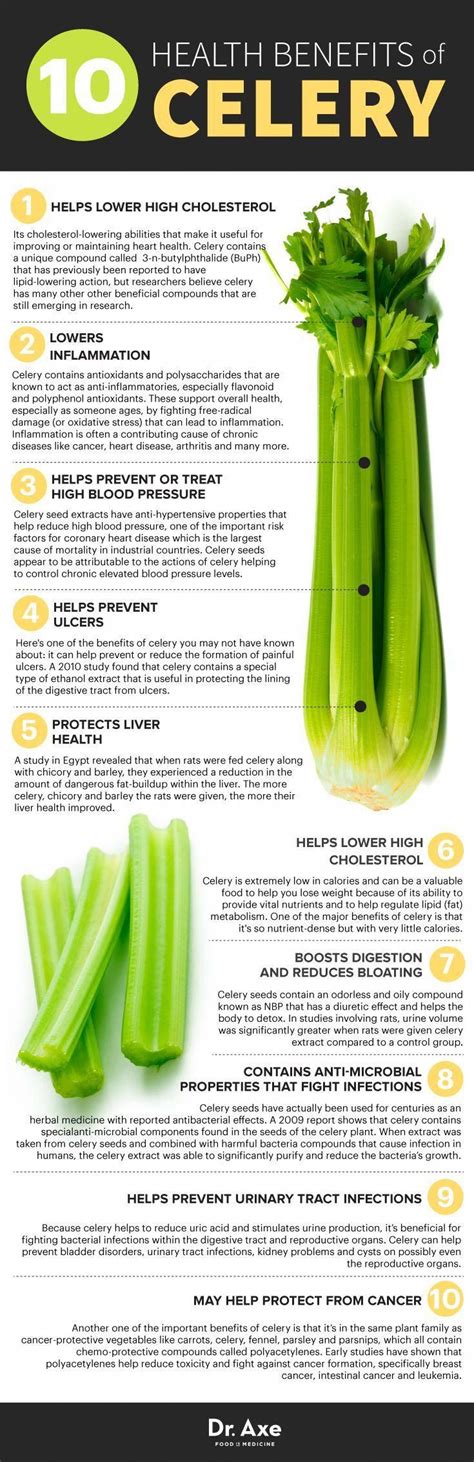 Celery benefits. Introduce more veggies into your diet. Healthy eating ...