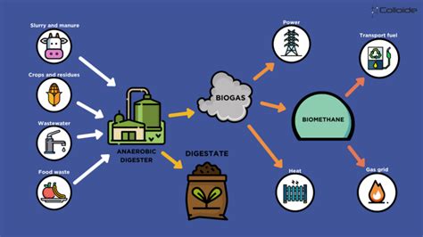 What is Anaerobic Digestion? : Colloide