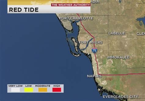 FWC: Collier and Lee Counties are clear of red tide