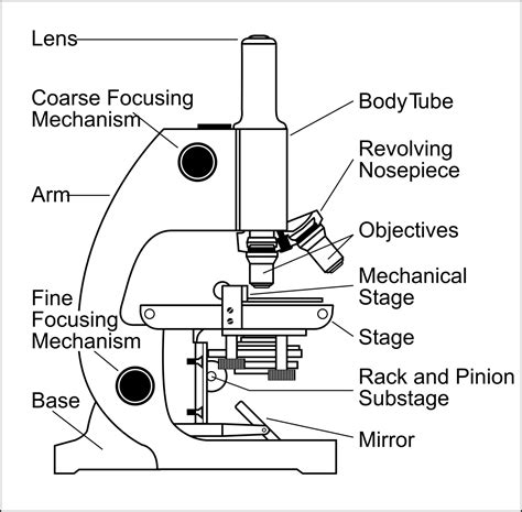 Microscope Drawing And Label at GetDrawings | Free download