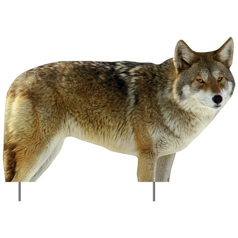 Extreme Dimensions HD Series Phantom Coyote Decoy - 186439, Deer & Big ...