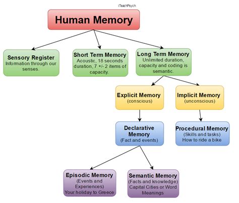 iteachpsych | Human behavior psychology, Human memory, Memory psychology