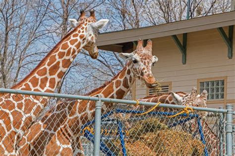 The Zoo in Sioux Falls, South Dakota is a Family Friendly Attraction ...