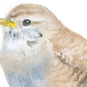 Wren Bird Watercolor Painting Giclee Print Woodland Animal Bird Art ...