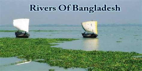 Rivers Of Bangladesh - Assignment Point