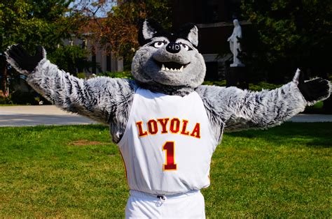 Loyola (Chicago) Ramblers mascot, LU Wolf | Missouri valley, Beautiful ...