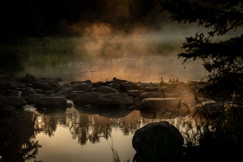 Minnesota, Itasca State Park by Shiny Penny Studios