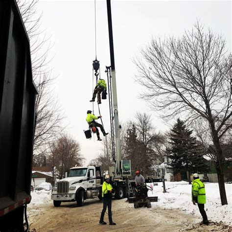 Winter Pruning | Sorenson Tree Service LLC