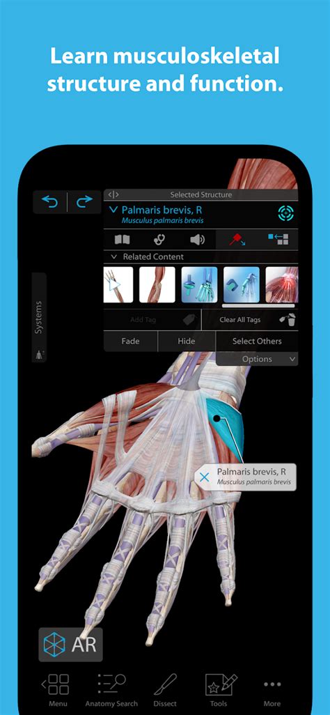 Human Anatomy Atlas 2023 MOD APK v2024.00.005 (Unlocked) for Android