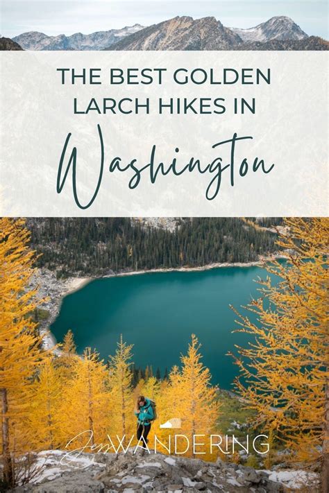 Top Golden Larch Hiking Trails in Washington | Washington state hikes ...