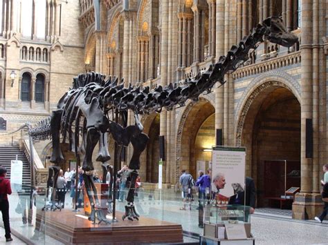 Dippy the Dinosaur Leaves London’s Natural History Museum After 112 Years