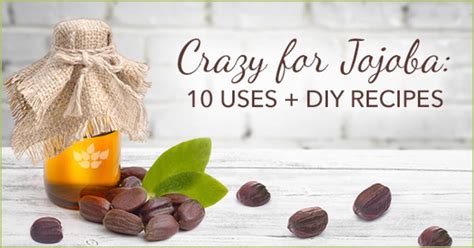 Jojoba Oil Uses: Top 10 Uses + 3 DIY Recipes | Swanson Health Hub