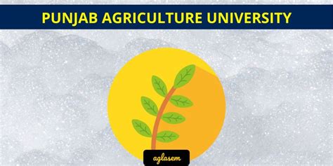 Punjab Agricultural University Admission 2024 | PAU Ludhiana | Top ...