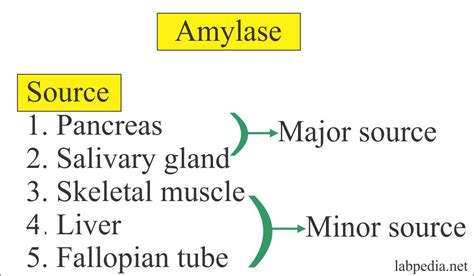 Amylase level (Serum) – Labpedia.net