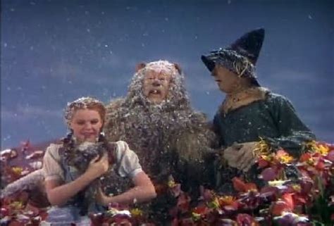 Snowing In Poppy Field, Wizard Of Oz, Poppies, Snow, Field, Movie, Hats ...