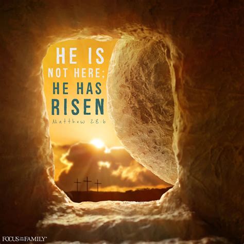 Matthew 28:6 | He has risen, Resurrection day, Jesus death