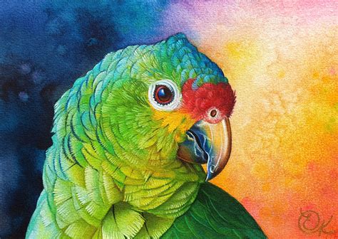 Amazon Parrot Original Painting, Bird Watercolour Portrait, Bird Art A5 ...