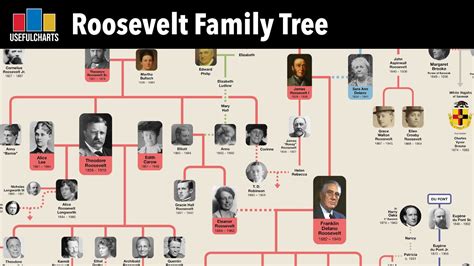 More Than Just Teddy Bears: Unveiling the Fascinating Roosevelt Family ...