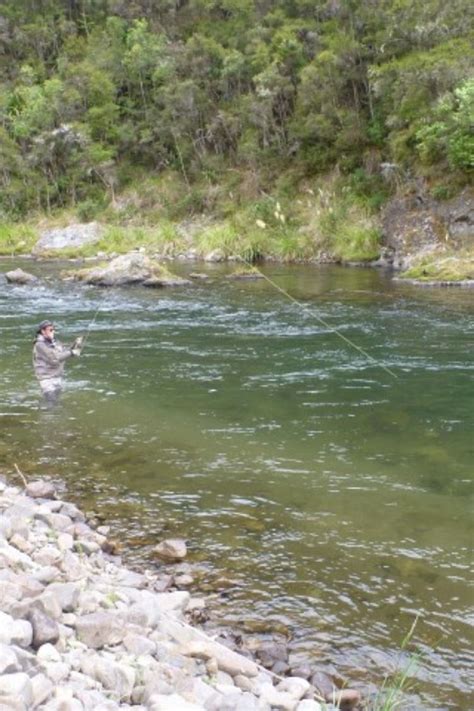 Lake Taupo Fishing NZ Is Spectacular And Awesome | Lake fishing, Lake ...