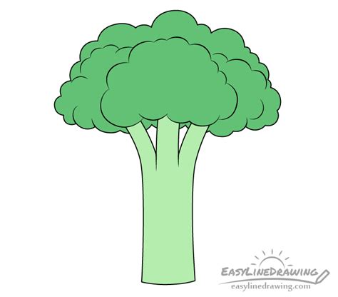 Broccoli Drawing