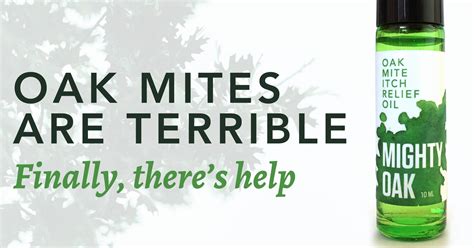 Oak Mite Itch Relief Oil - Mighty Oak