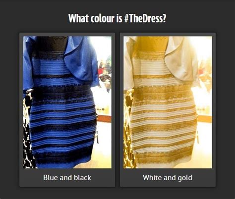 9 best #TheDress images on Pinterest | Body con, Body con dress and ...